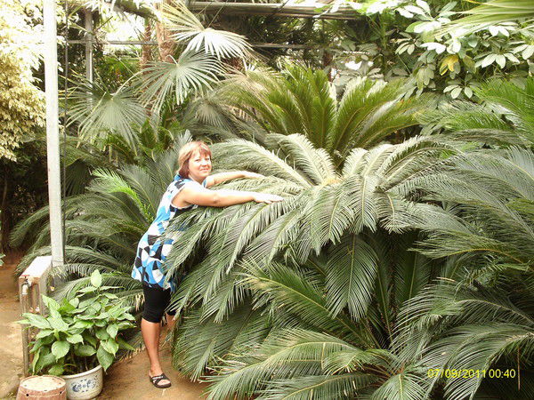 Евгения Функнер