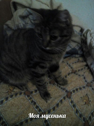 Маша Коваленко