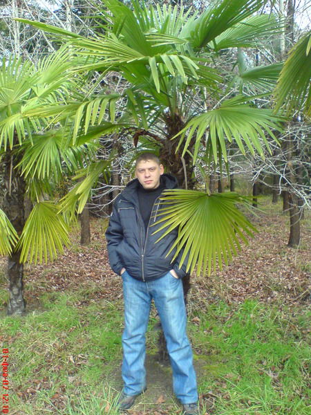 Андрей Исаев