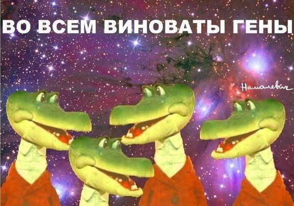 Никита Юрьевич