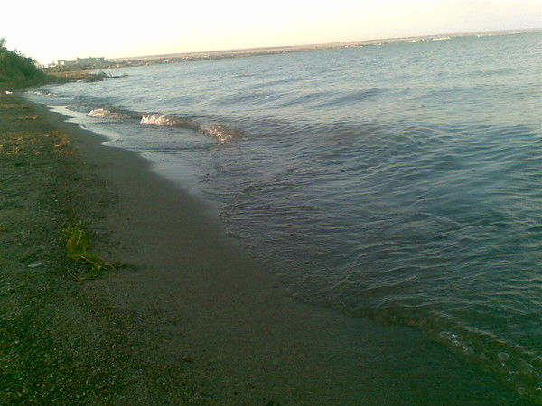 Игорь Здвижков