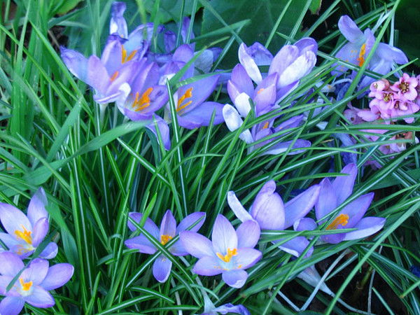 Ольга Банникова