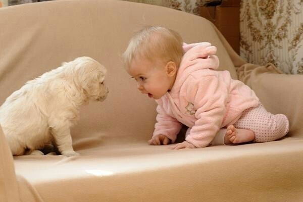 Ансаганым Телбаева