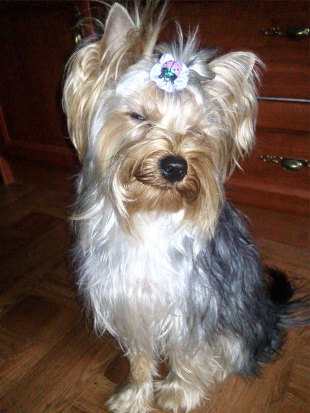 Ольга Жихарева