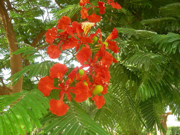 Ольга Васильева