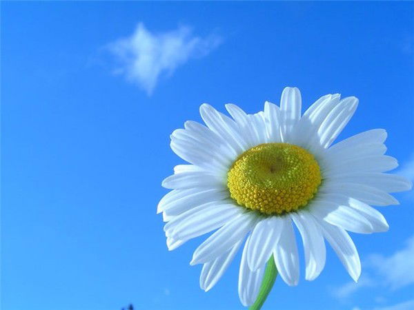 Татьяна Сторожева