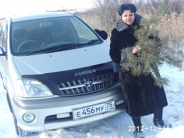 Светлана Писарева