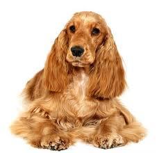 Альфия Хакимова