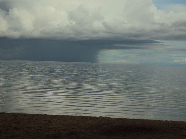 Сергей Севак