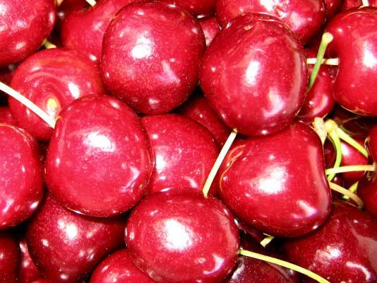 Лапина(Уфимцева) Инна