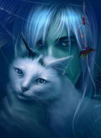 Костя Солнце