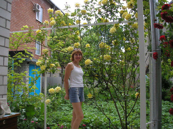 Елена Кротова