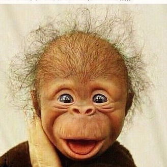 Aleksandr Митин