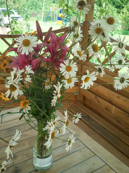 Александр Боронин