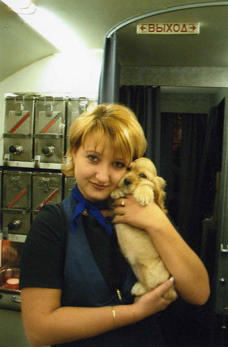 Екатерина Петрова