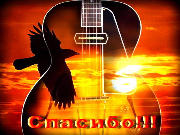 Винера Коновалова