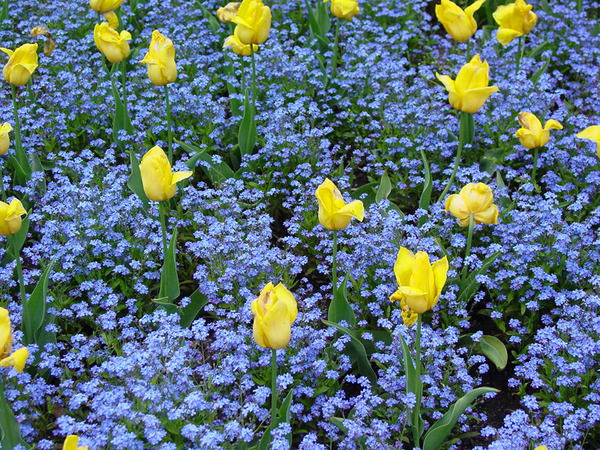 Жамилия Арыстанбаева