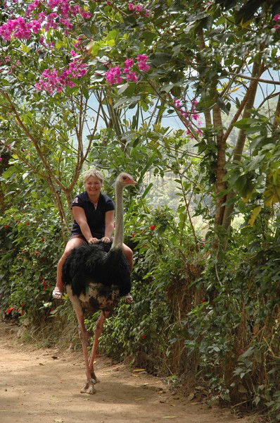 Нина Плешакова