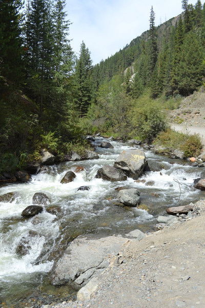 Наталья Коваль