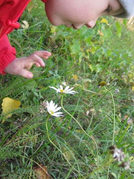 Светлана Соковнина