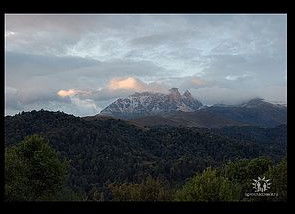 Мовсес Габриелян