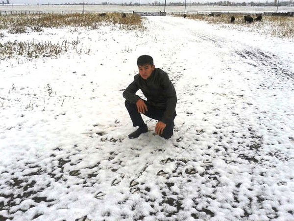 Марат Алжасов