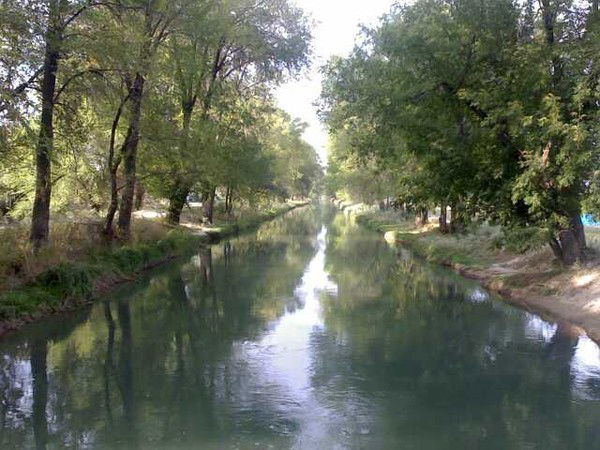 Аскар Айткулов