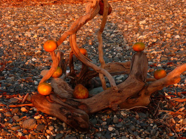 Евгений Ляхов