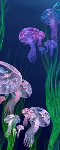 Зулхумор Исабаева