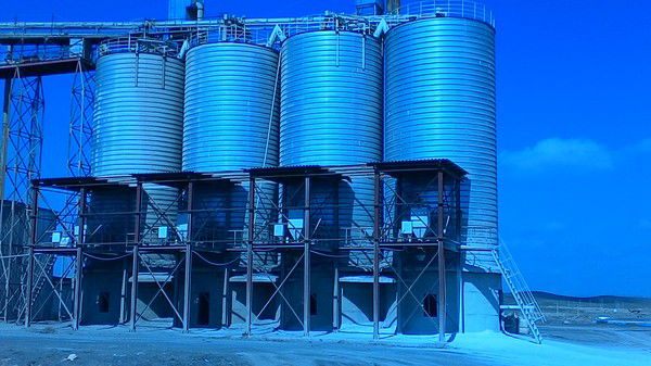 Зарина Дилдаева