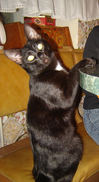 Сергей Ермолаев