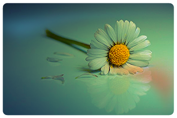 Любовь Денисова