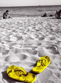 Дарья Никитенко