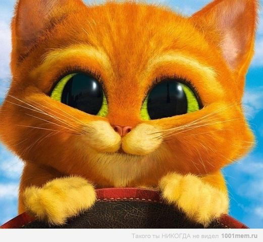 Наталья Долотова