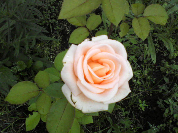 Татьяна Кочнева