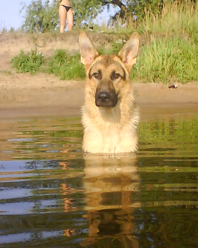 Крутышечкина