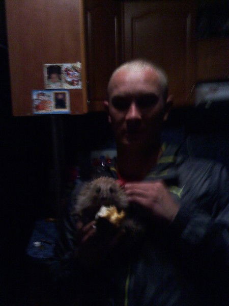 Антон Васильев