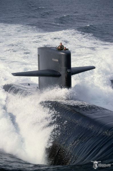 Андрей Сапунов