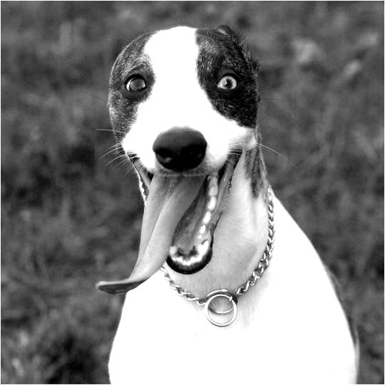 Александр Синяков