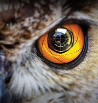 Степан Овчинников