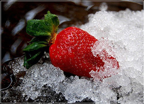 Вера Пахомова