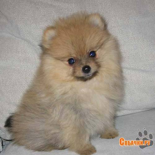 Наталья Викторова