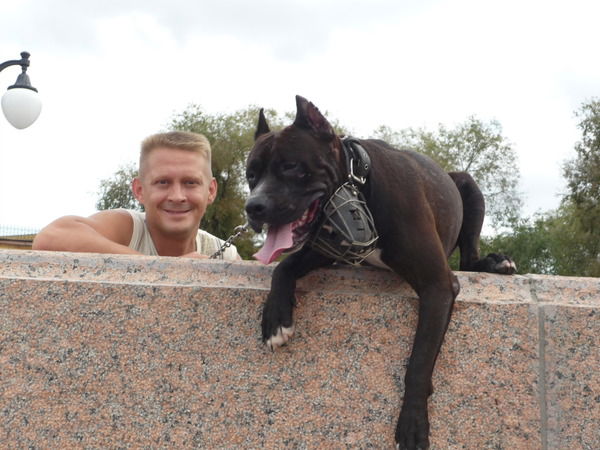 Владимир Брат