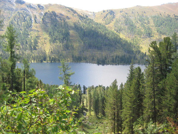 Алтынбек Кайыр