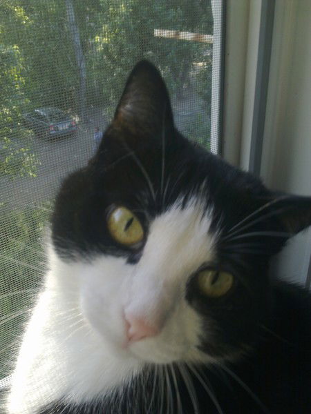 Елена Ступичева