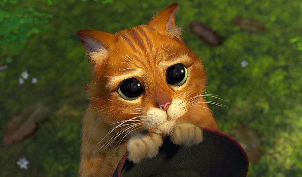 Рифкат Харисов