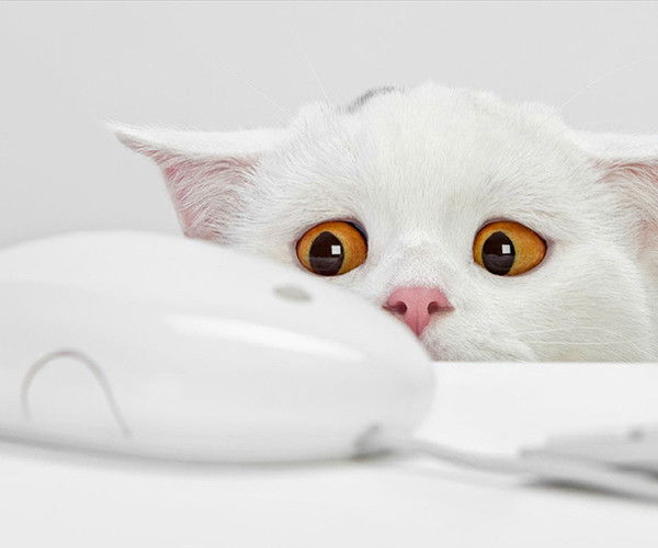 Лилия Шитикова