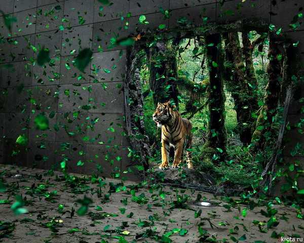 Александр Поночевный