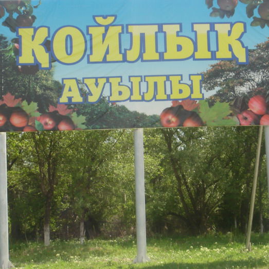 Койлык Акимат Саркандский Район