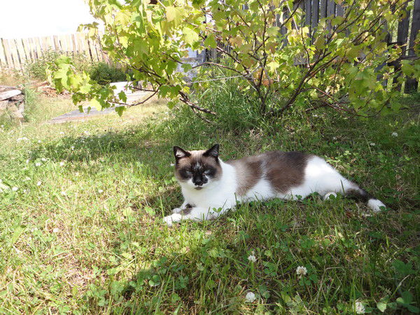 Веста Удалова